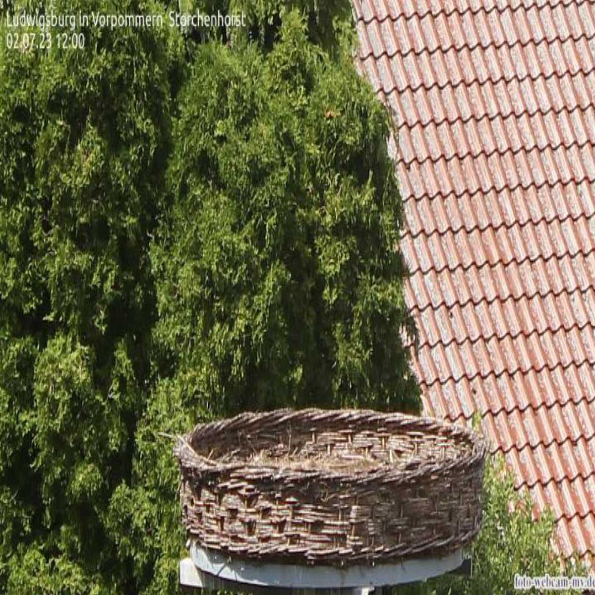 Greifswald webcam