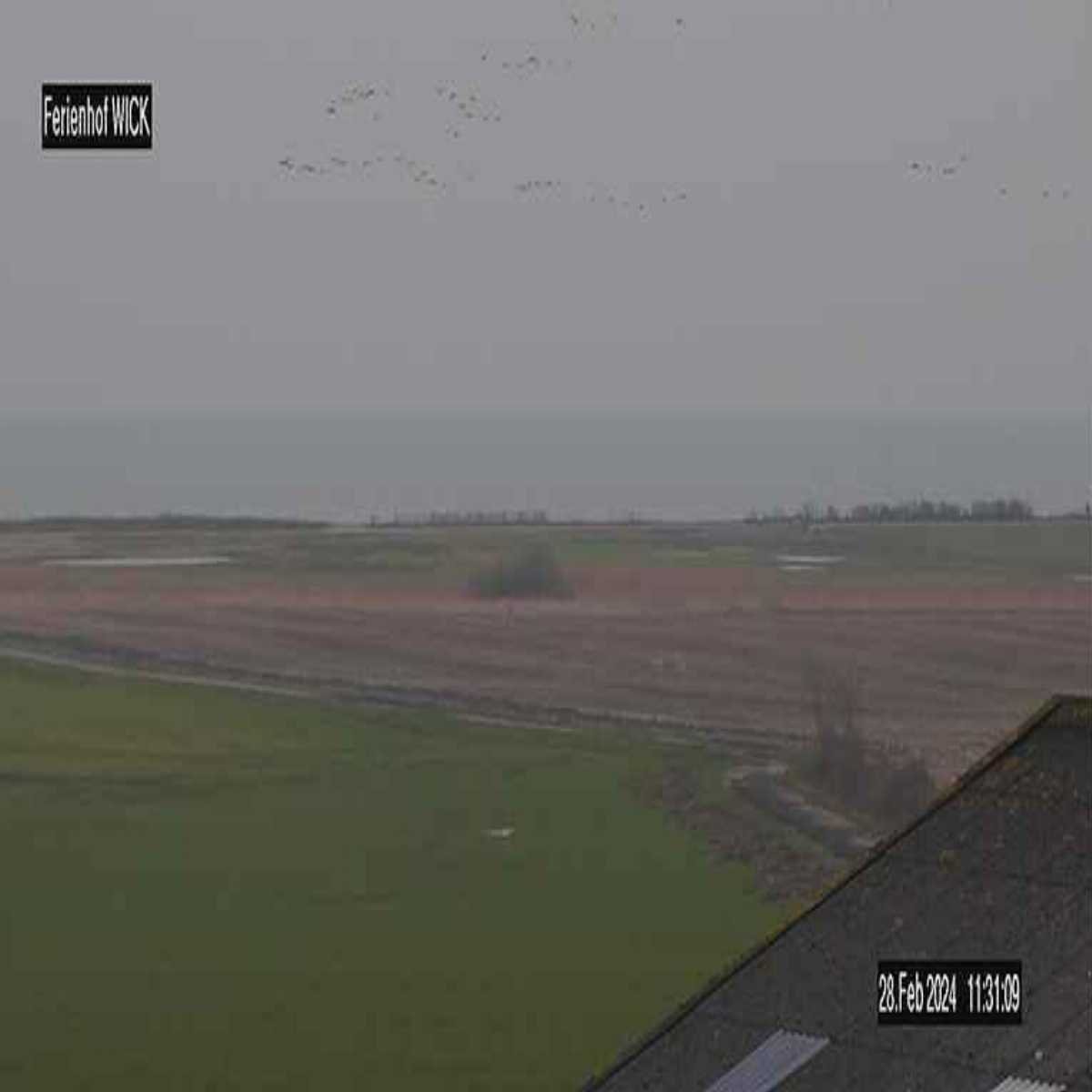Ahrensburg webcam