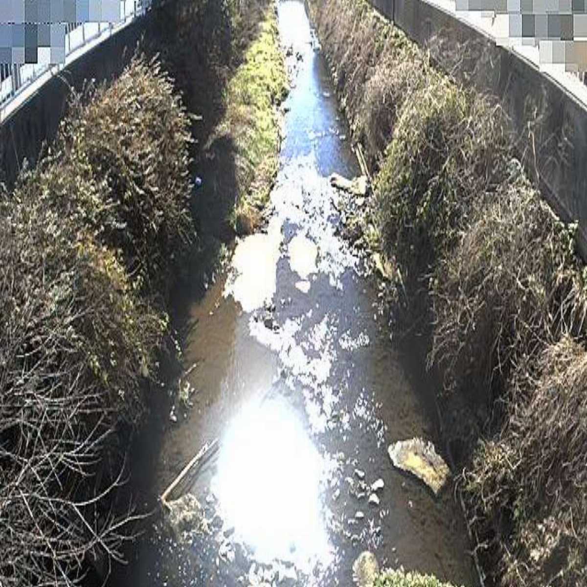 Chofugaoka webcam
