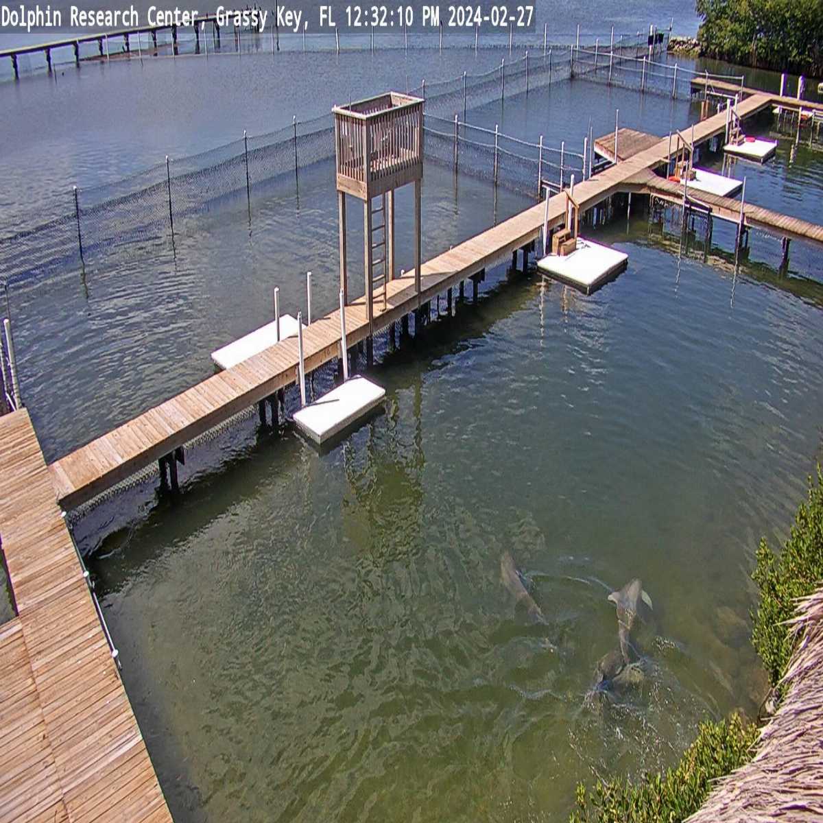 Cambridge webcam