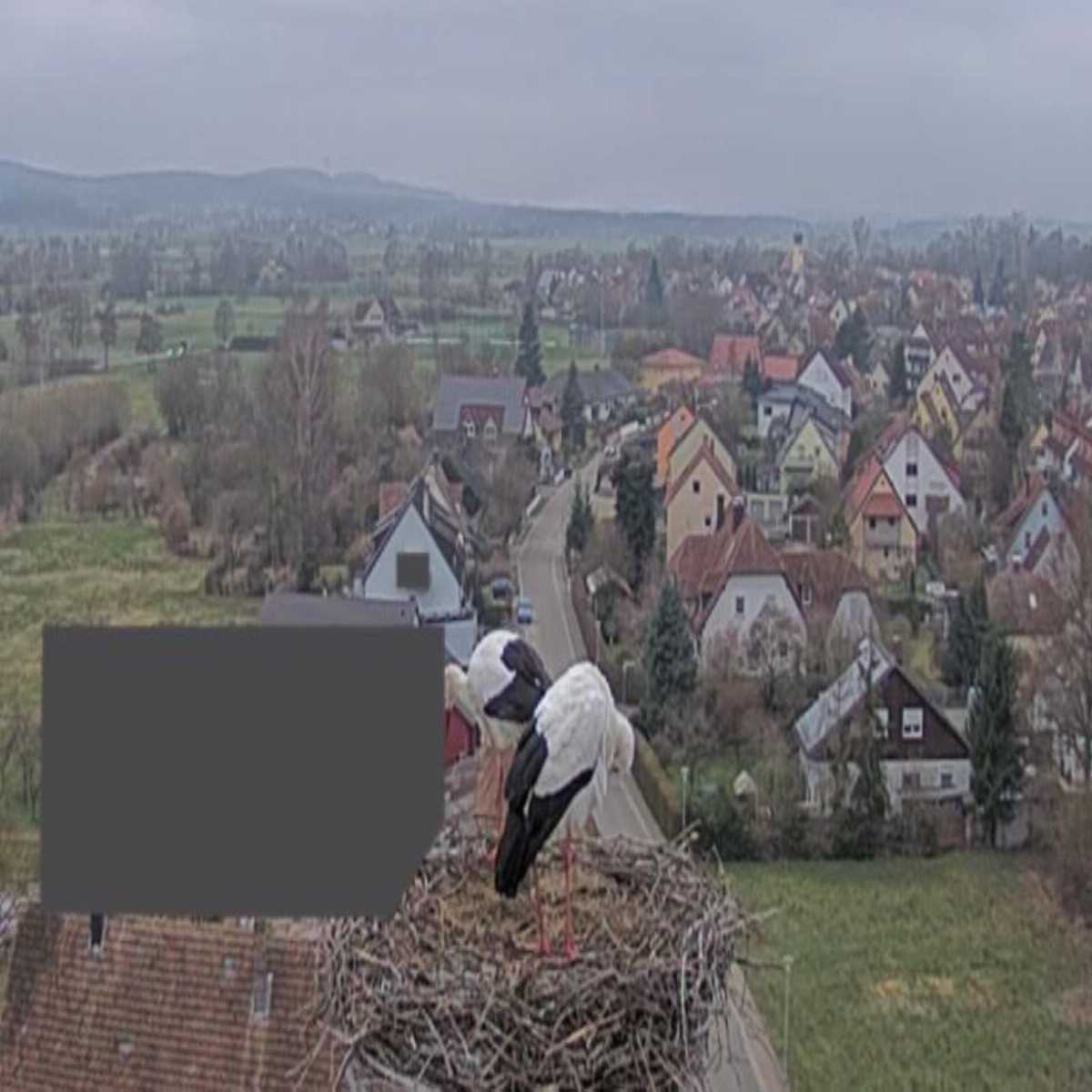 Leidersbach webcam