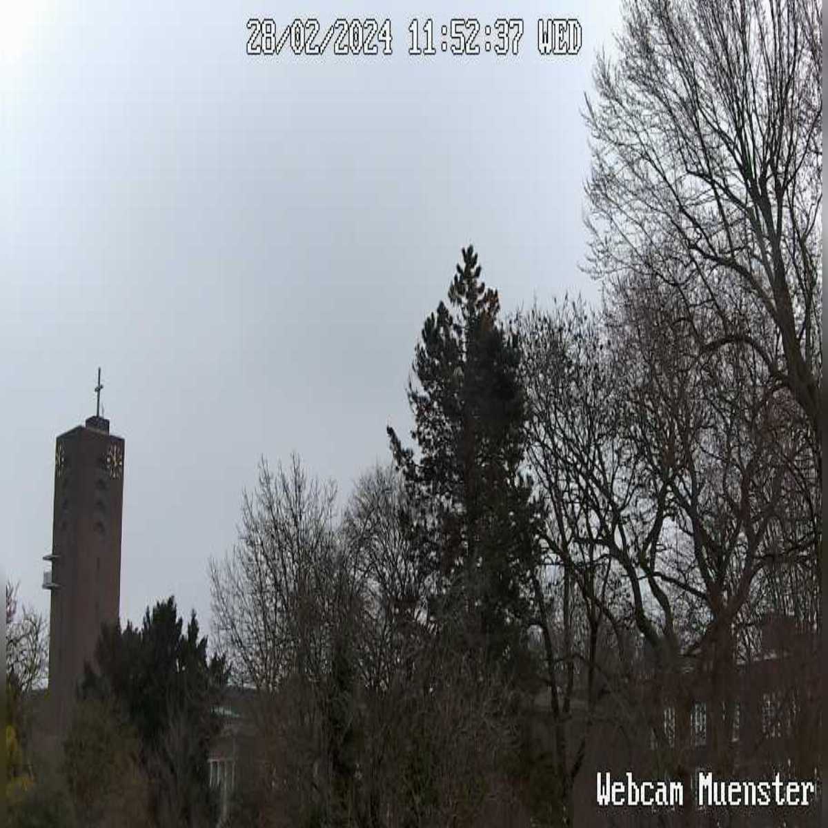 Riesenbeck webcam