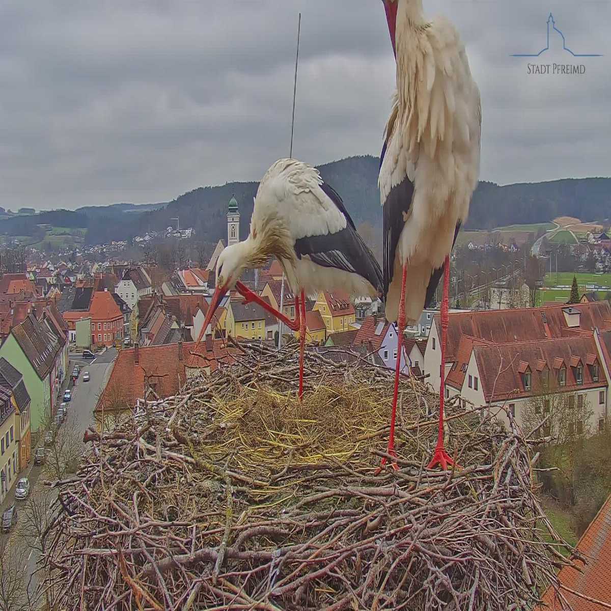 Leidersbach webcam