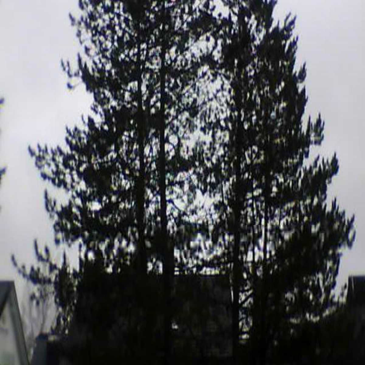 Leidersbach webcam