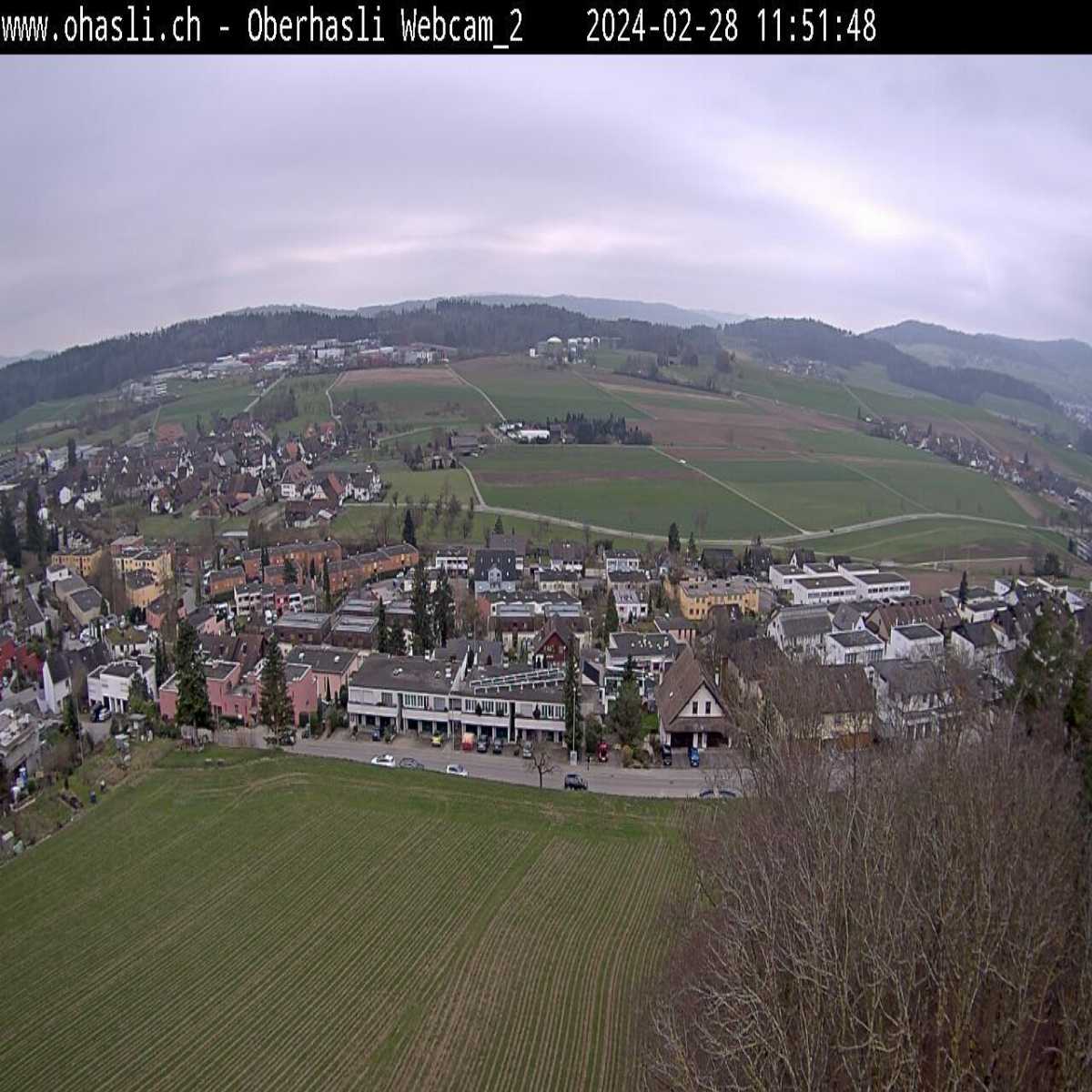 Richterswil webcam