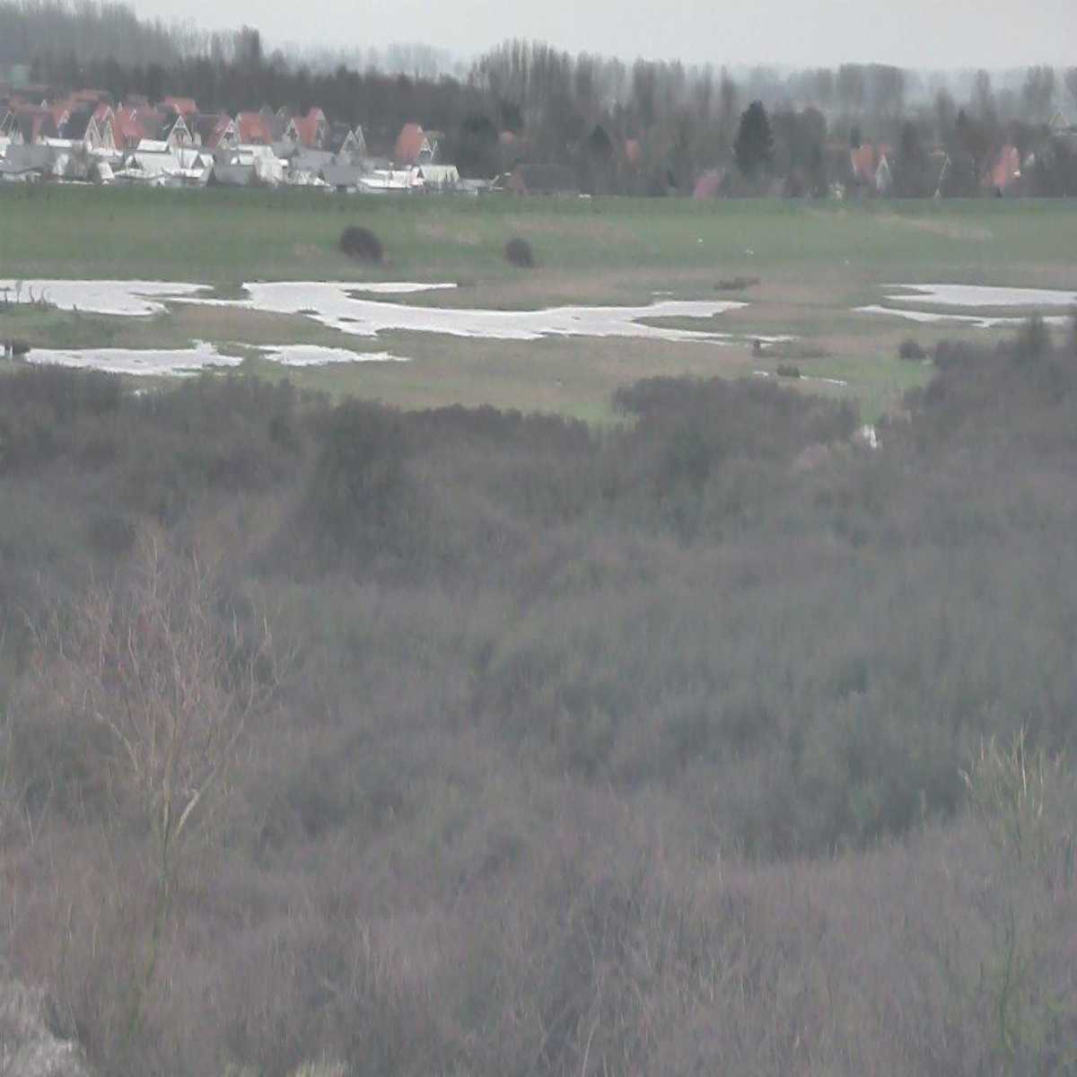 Domburg webcam