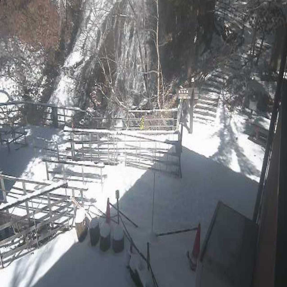 Nikko webcam