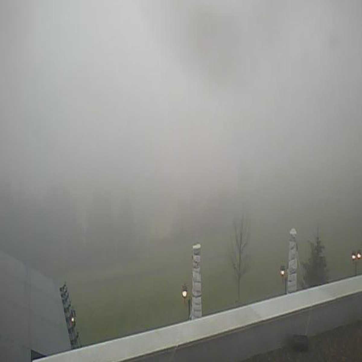 Walchwil webcam