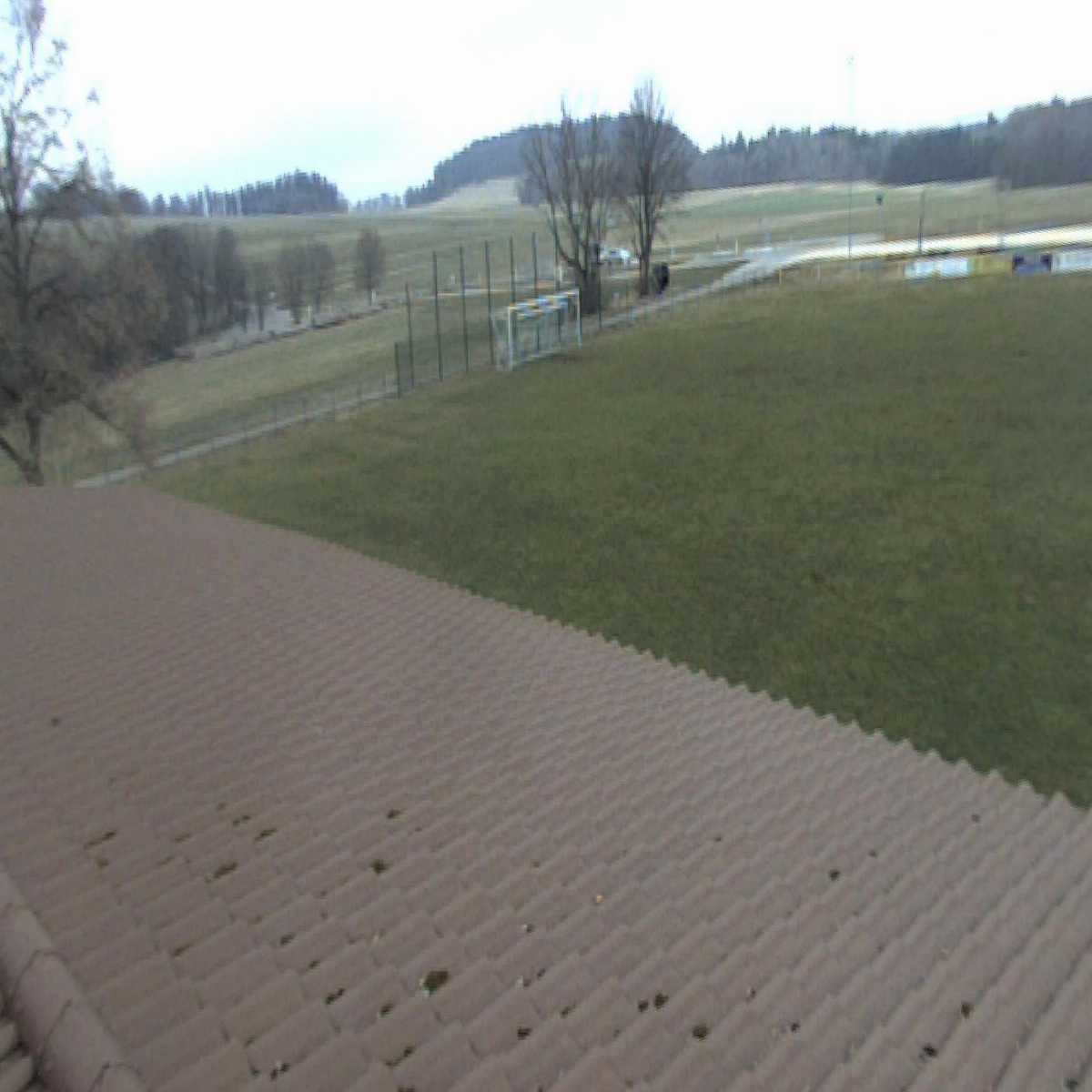 Schallstadt webcam