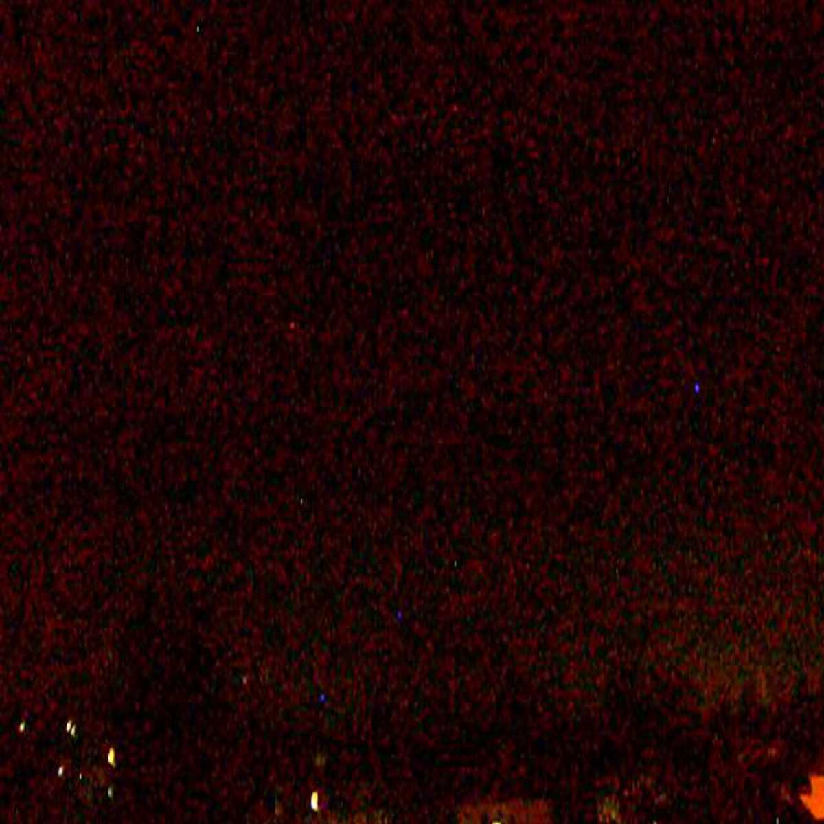 Zachenberg webcam
