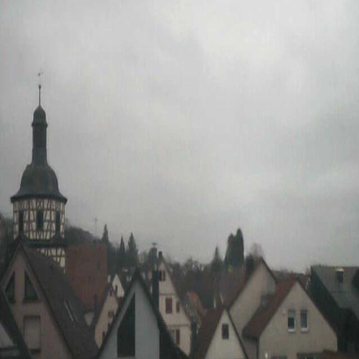 Schallstadt webcam