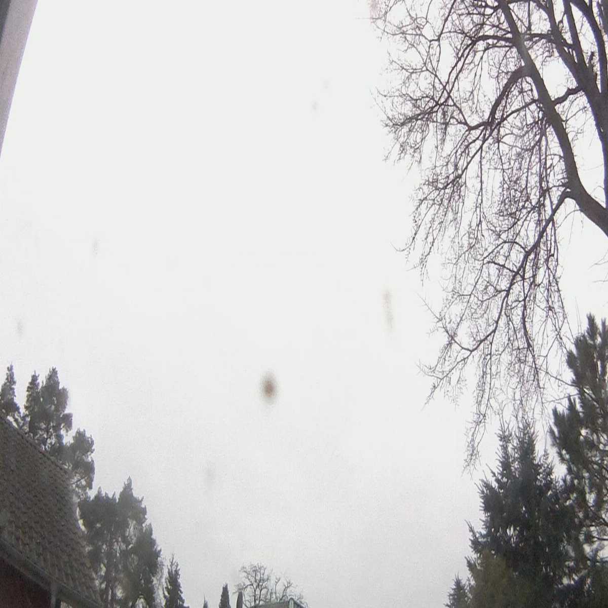 Kienitz Nord webcam