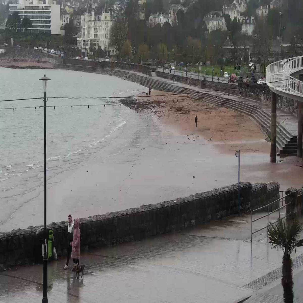 Axminster webcam