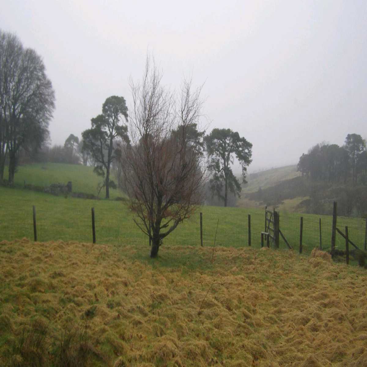 West Compton webcam