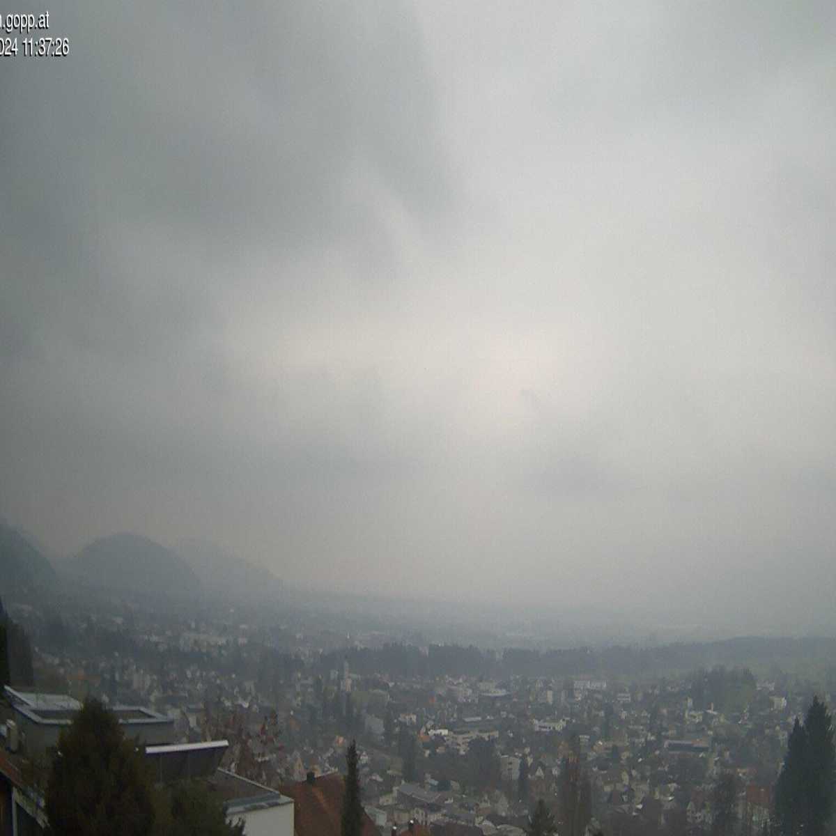 Warth webcam