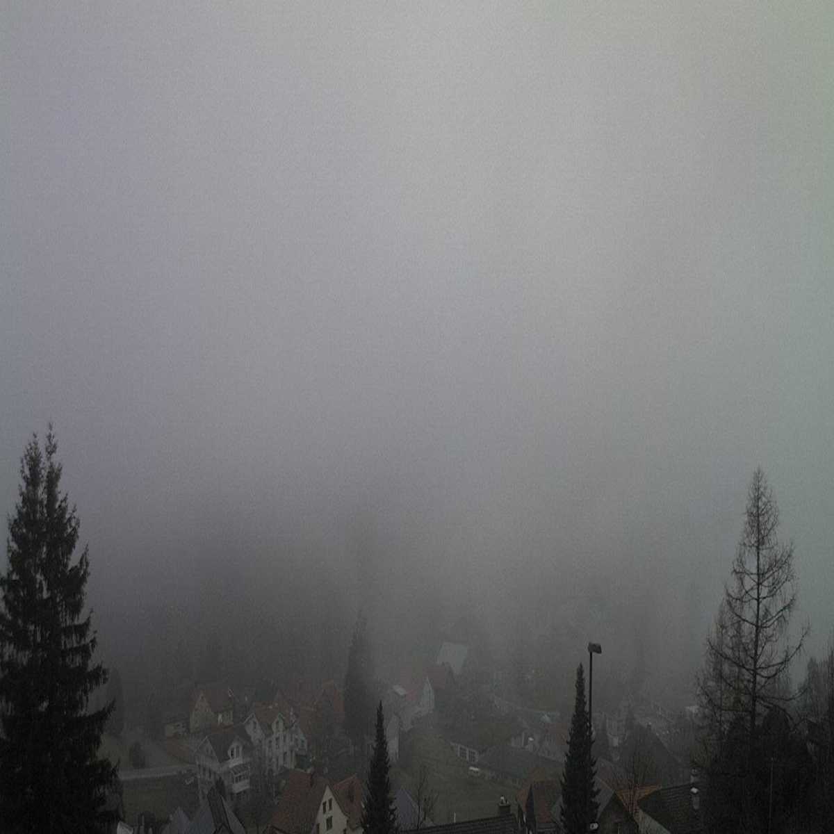 Heiden webcam