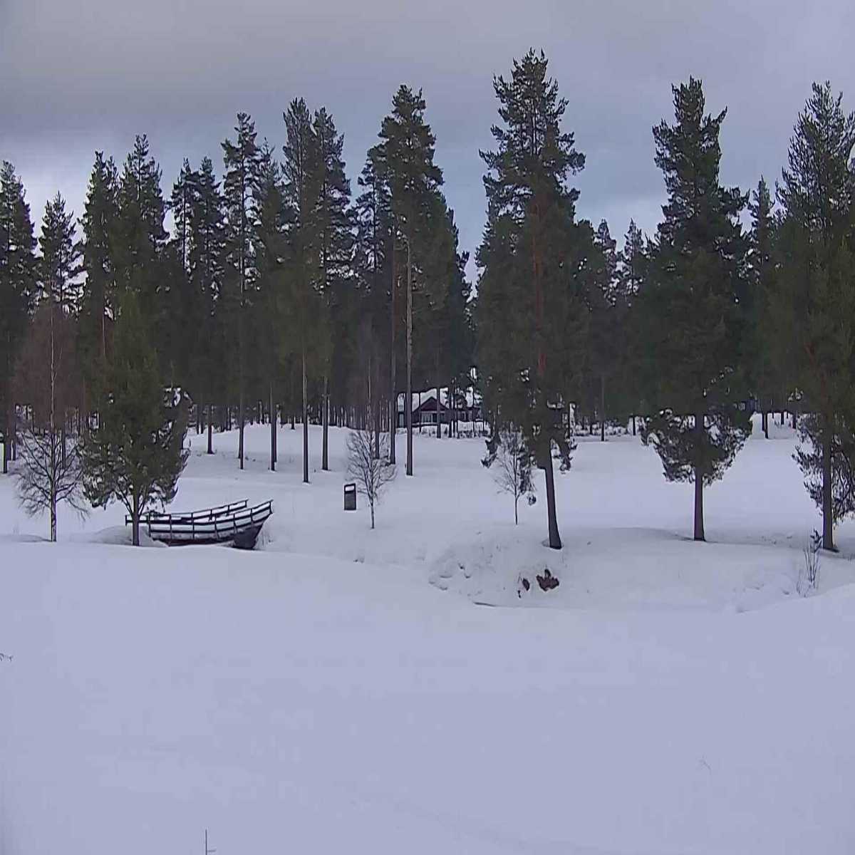 Grotli webcam