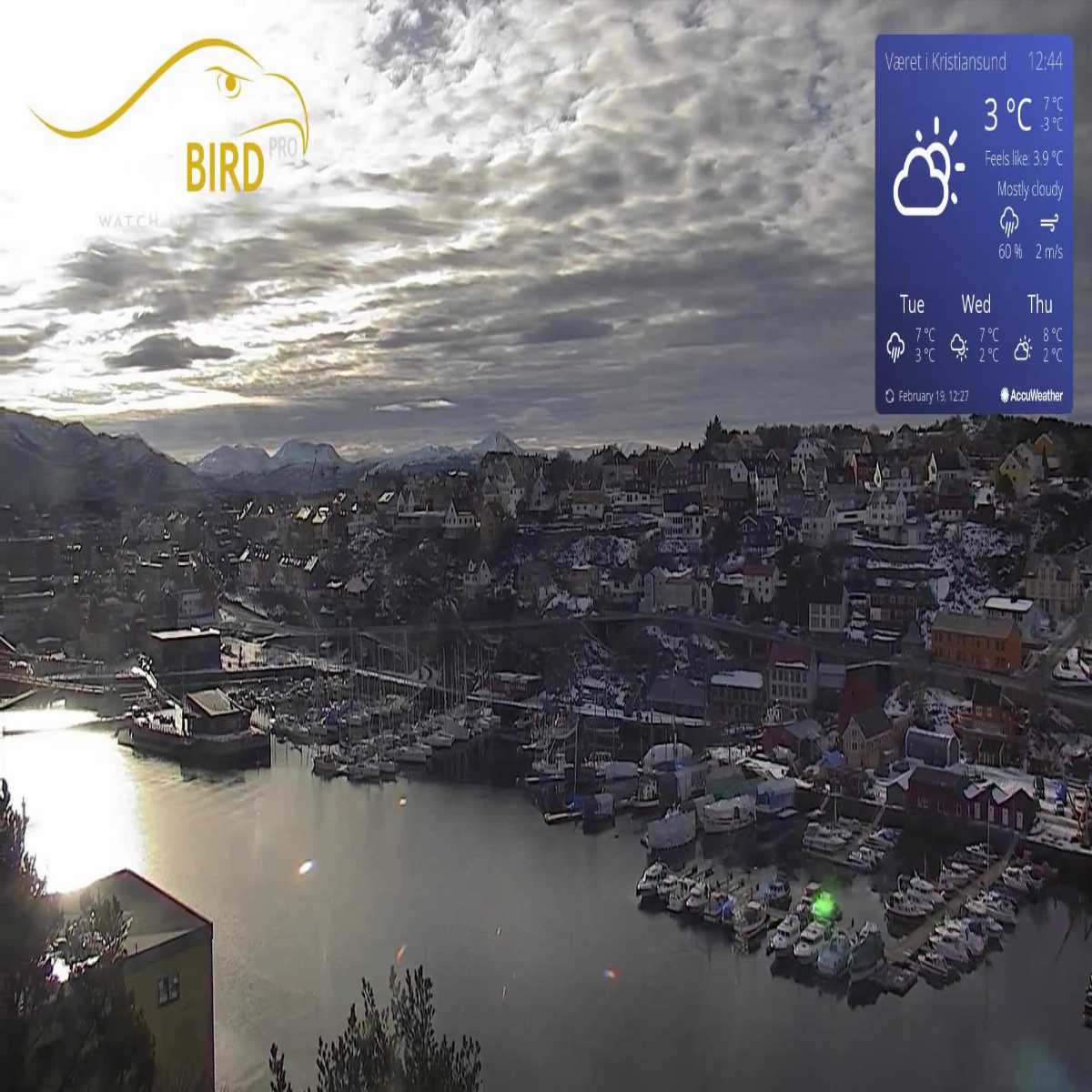 Ulstein webcam