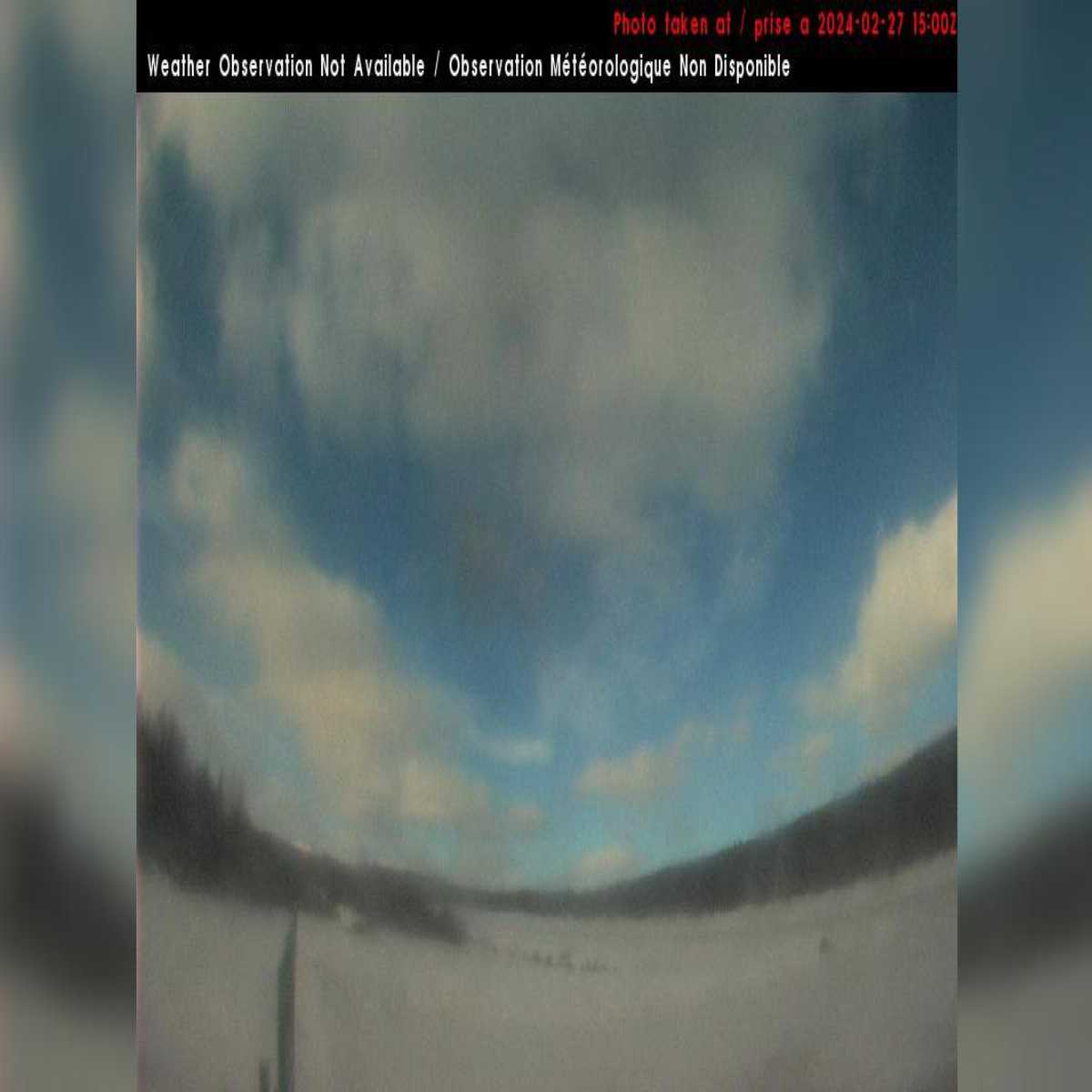 Cartwright webcam