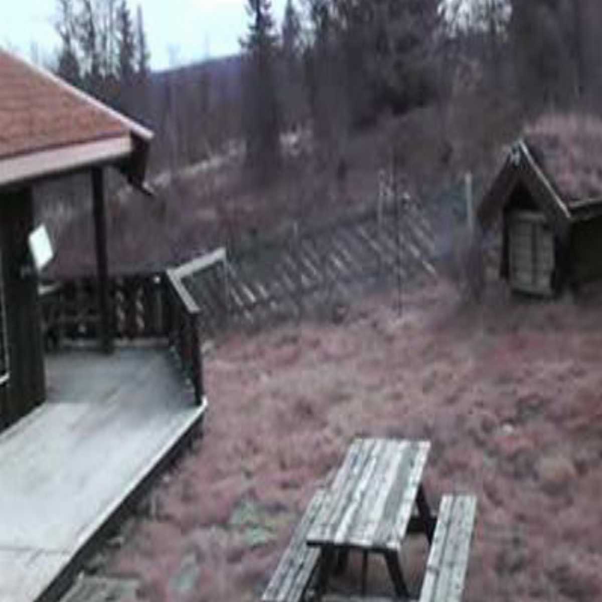 Grotli webcam