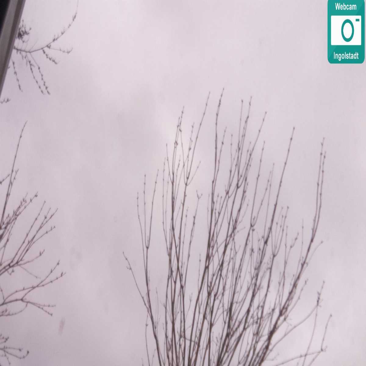 Leidersbach webcam