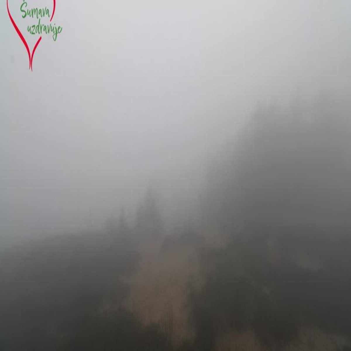 Leidersbach webcam