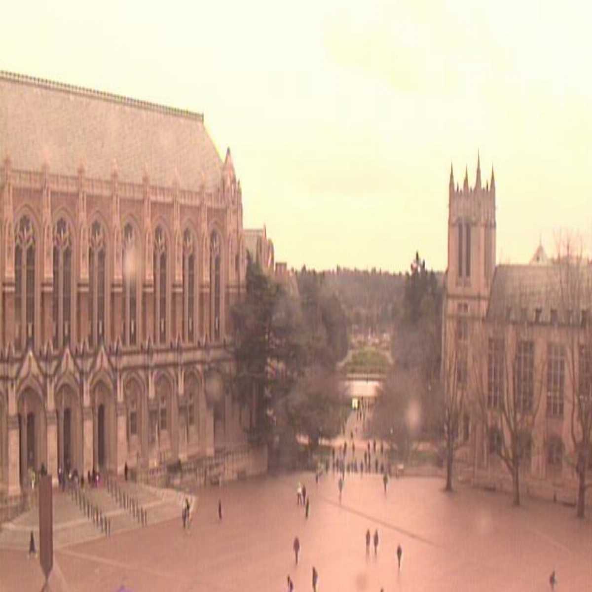 Port Townsend webcam