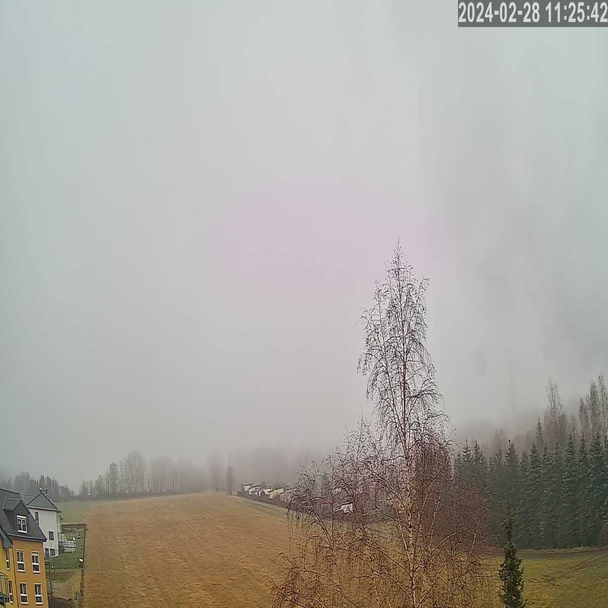 Klingenberg webcam