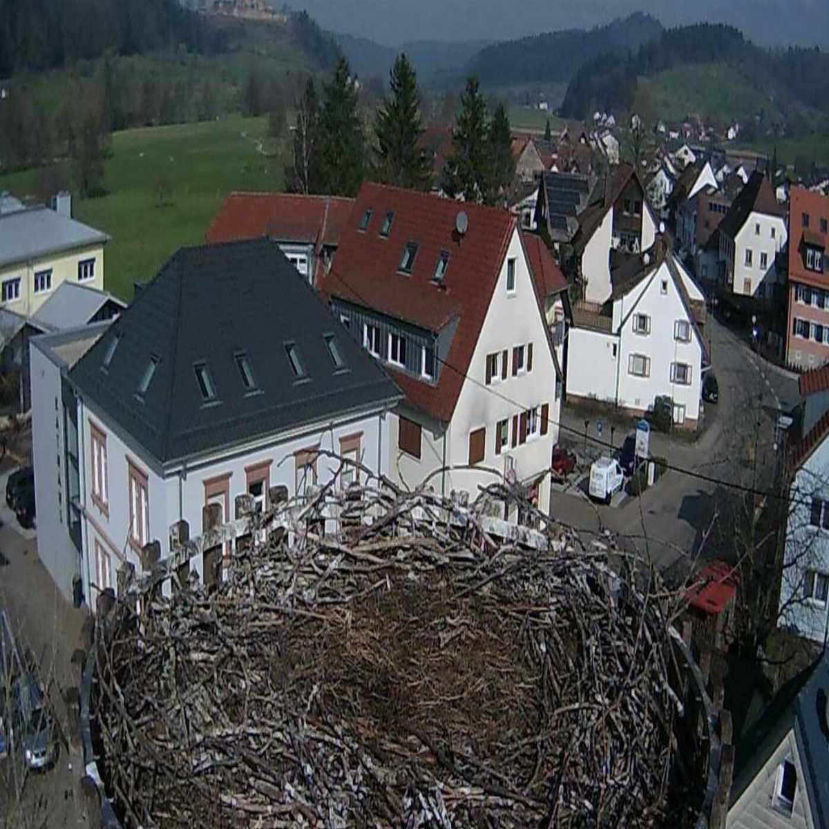 Schallstadt webcam