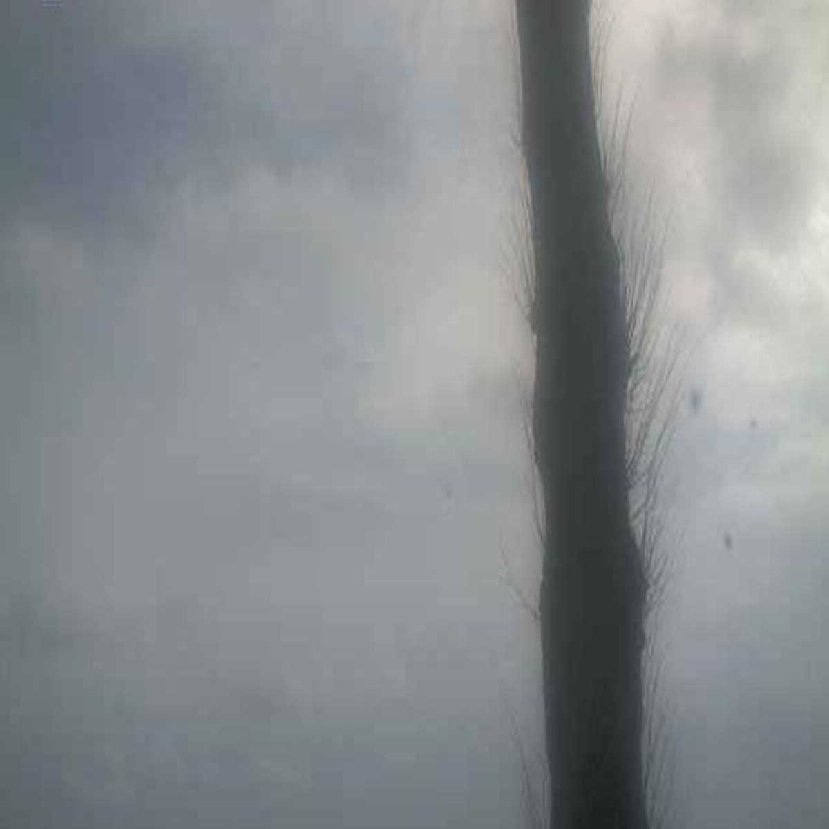 Ahrensburg webcam