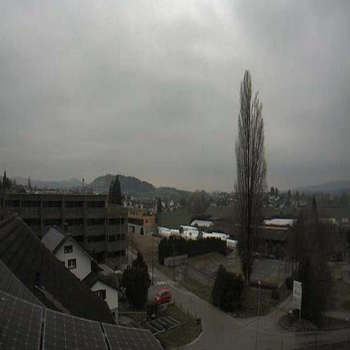 Lommis webcam