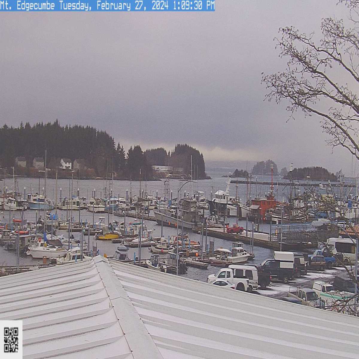 Homer webcam