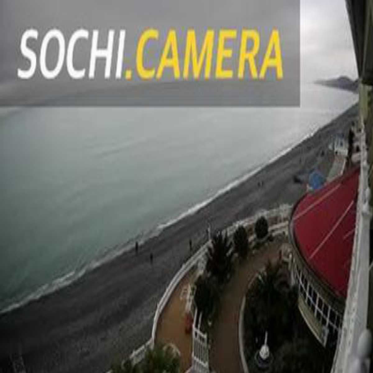 Adler webcam