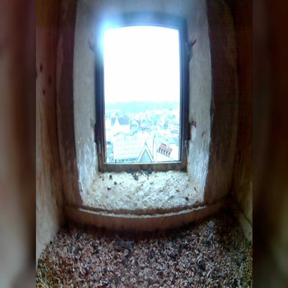 Leidersbach webcam