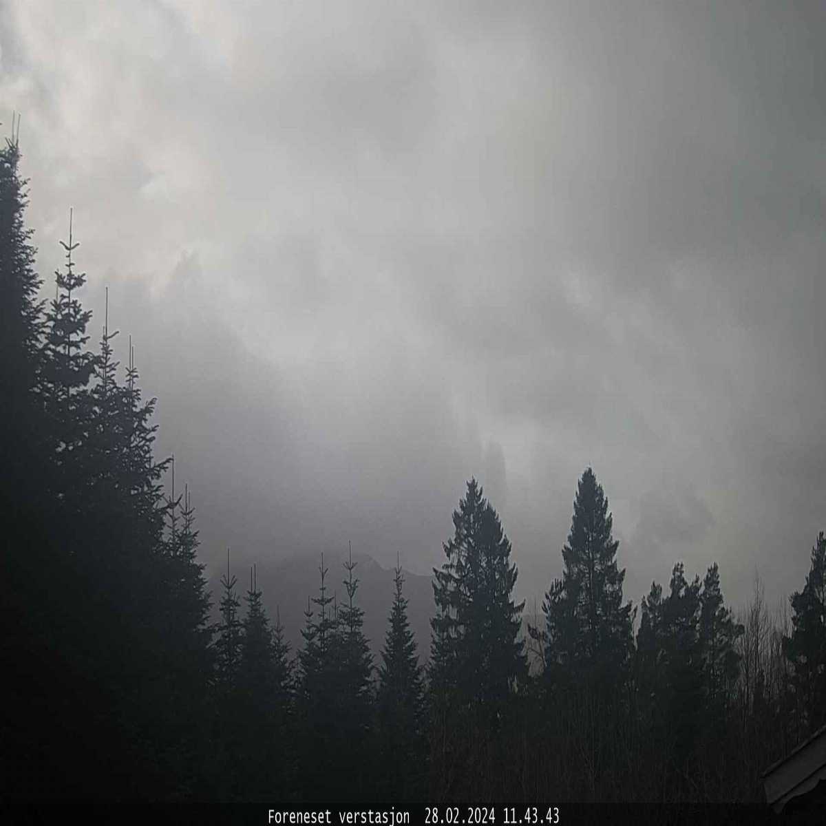 Kopervik webcam