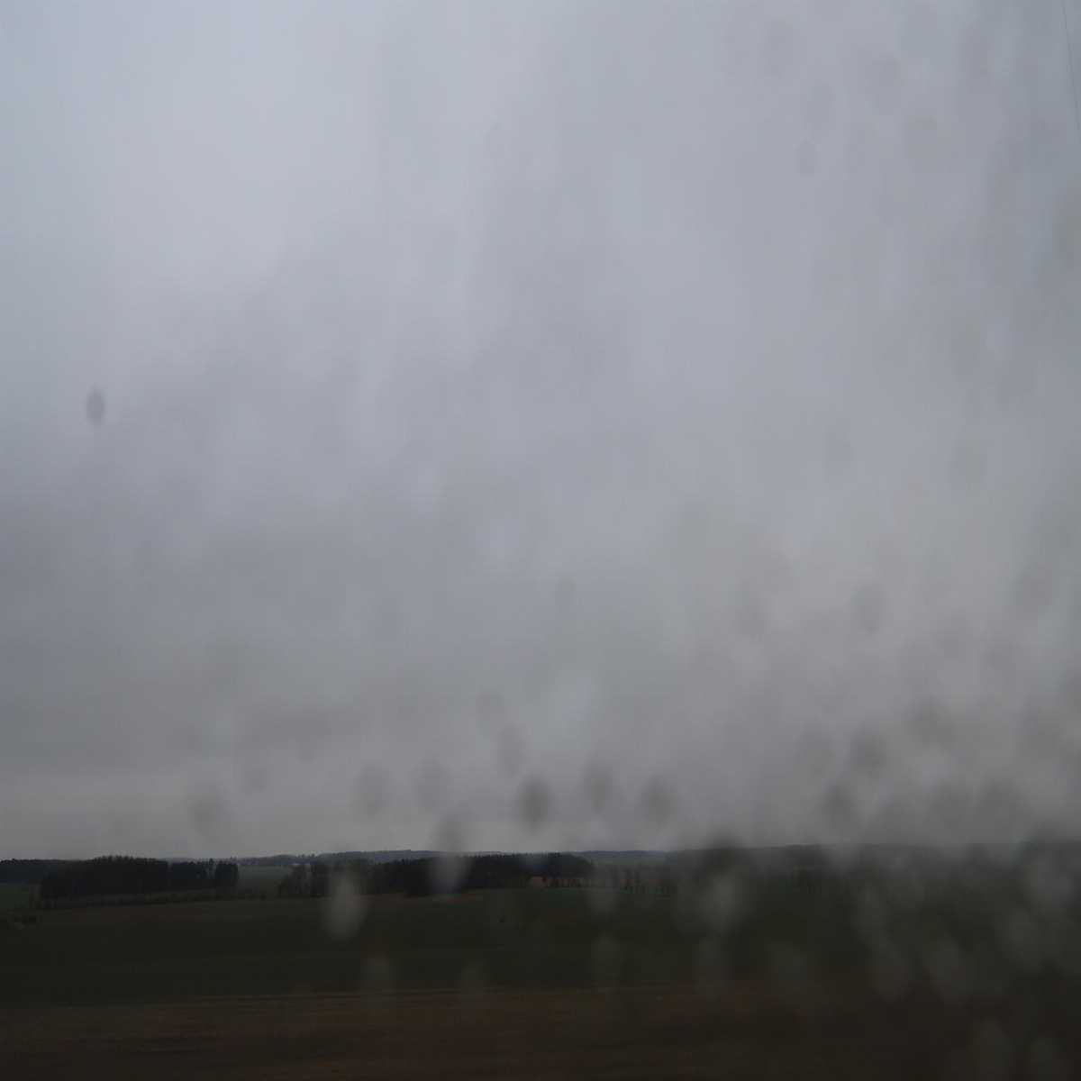 Kienitz Nord webcam