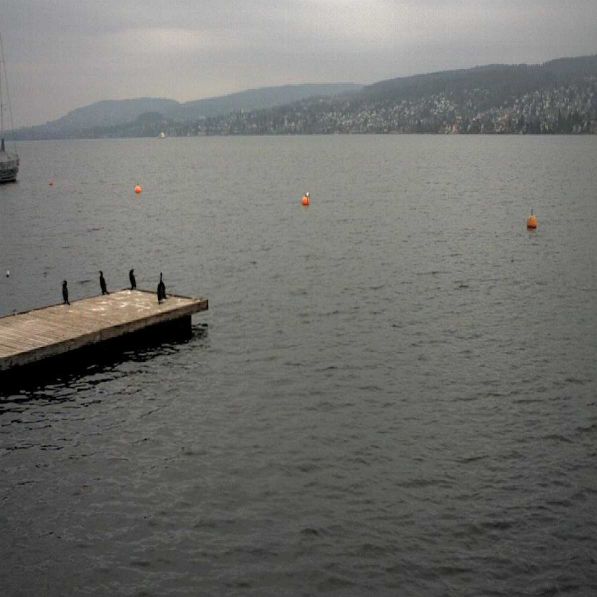 Richterswil webcam